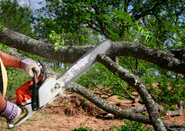 Soil Testing and Treatment in Cottage Grove, WI